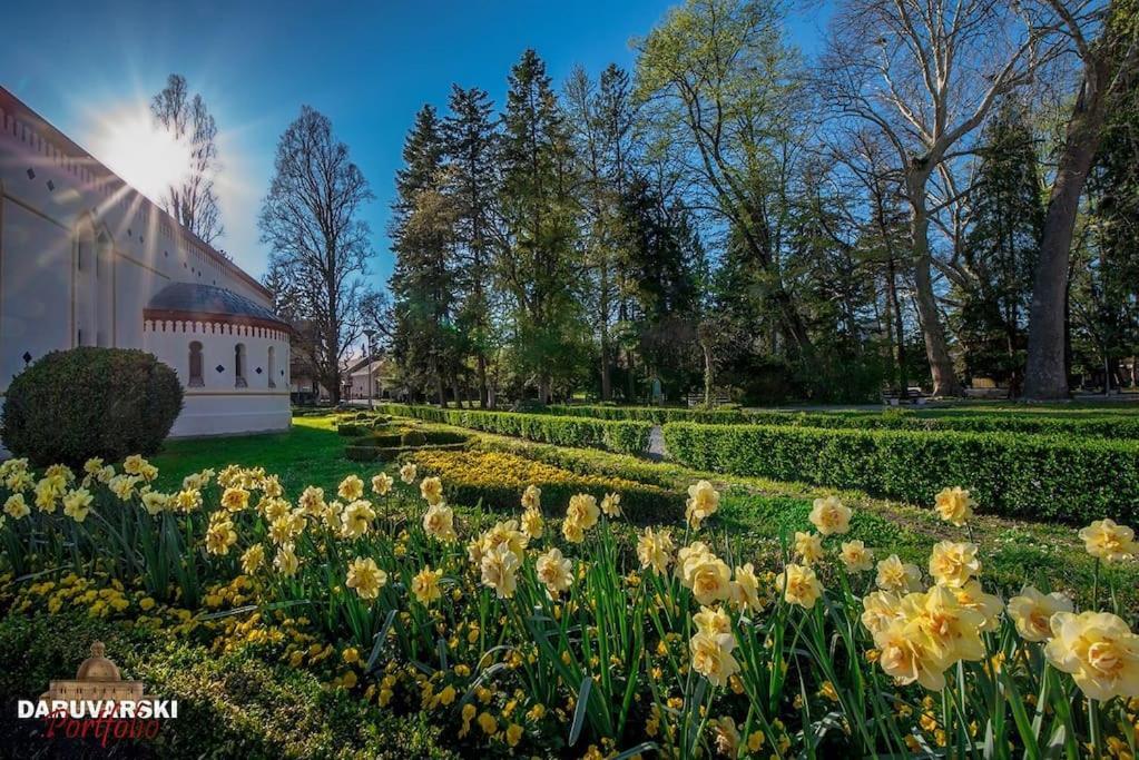 Апартаменти Apartman Isabella Дарувар Екстер'єр фото